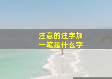 注意的注字加一笔是什么字