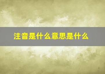 注音是什么意思是什么