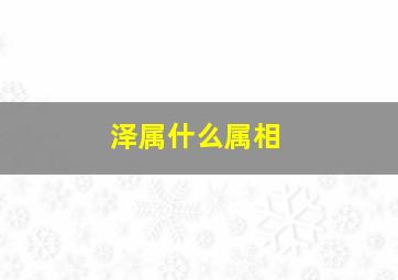 泽属什么属相