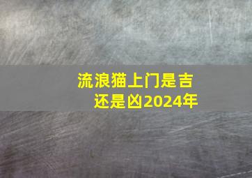 流浪猫上门是吉还是凶2024年