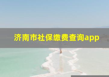 济南市社保缴费查询app