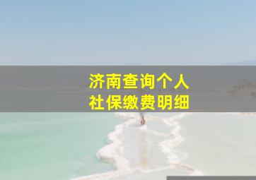 济南查询个人社保缴费明细