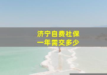 济宁自费社保一年需交多少