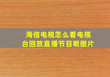 海信电视怎么看电视台回放直播节目呢图片