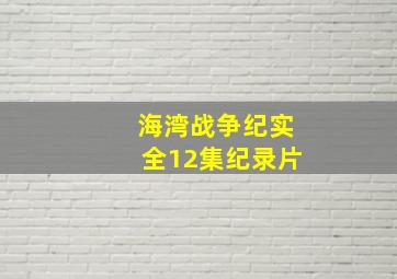 海湾战争纪实全12集纪录片