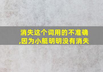 消失这个词用的不准确,因为小艇明明没有消失