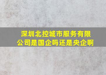 深圳北控城市服务有限公司是国企吗还是央企啊