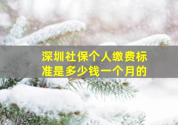 深圳社保个人缴费标准是多少钱一个月的