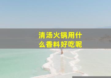 清汤火锅用什么香料好吃呢