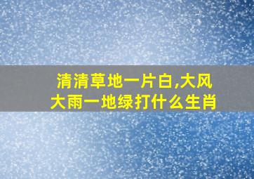 清清草地一片白,大风大雨一地绿打什么生肖