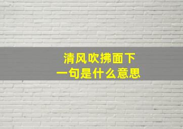 清风吹拂面下一句是什么意思