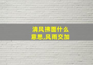 清风拂面什么意思,风雨交加