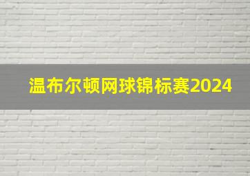 温布尔顿网球锦标赛2024