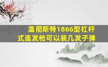 温彻斯特1866型杠杆式连发枪可以装几发子弹