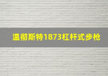 温彻斯特1873杠杆式步枪