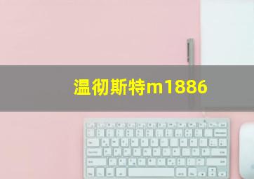 温彻斯特m1886