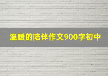 温暖的陪伴作文900字初中