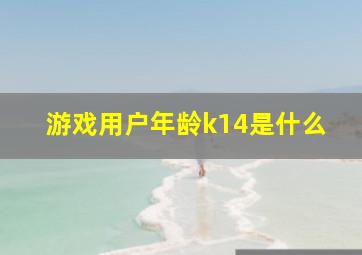 游戏用户年龄k14是什么