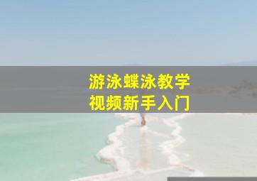 游泳蝶泳教学视频新手入门