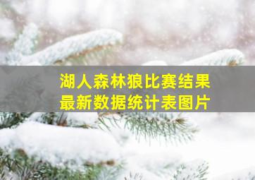 湖人森林狼比赛结果最新数据统计表图片