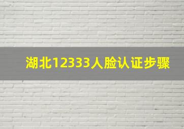 湖北12333人脸认证步骤