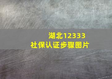 湖北12333社保认证步骤图片