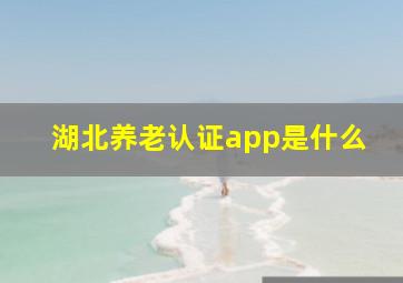 湖北养老认证app是什么