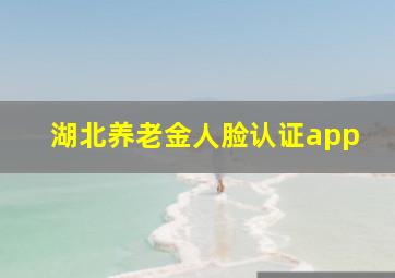 湖北养老金人脸认证app