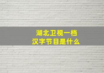 湖北卫视一档汉字节目是什么