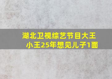 湖北卫视综艺节目大王小王25年想见儿子1面