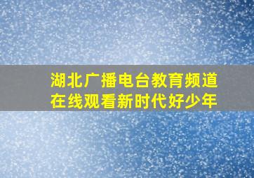 湖北广播电台教育频道在线观看新时代好少年