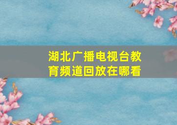 湖北广播电视台教育频道回放在哪看