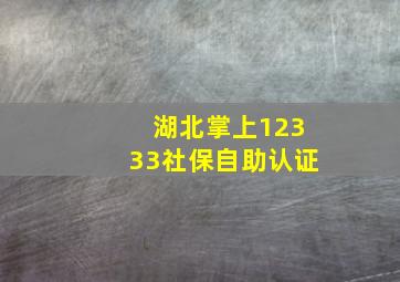 湖北掌上12333社保自助认证