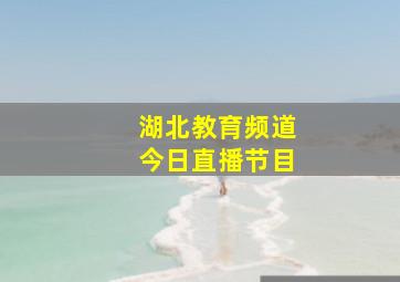 湖北教育频道今日直播节目