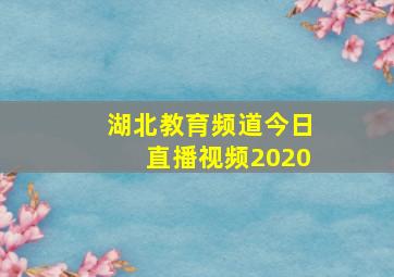 湖北教育频道今日直播视频2020