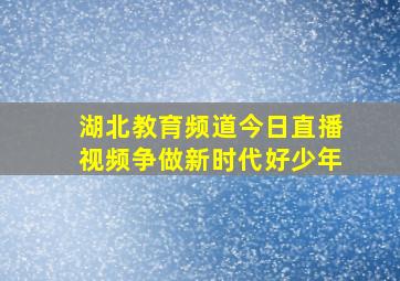 湖北教育频道今日直播视频争做新时代好少年