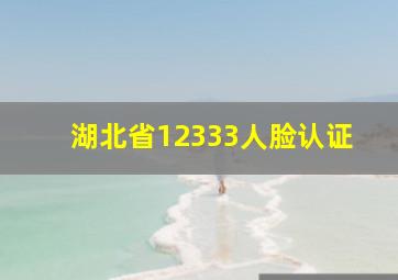 湖北省12333人脸认证