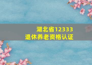 湖北省12333退休养老资格认证