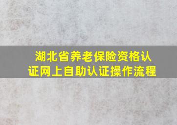 湖北省养老保险资格认证网上自助认证操作流程