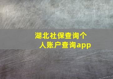 湖北社保查询个人账户查询app