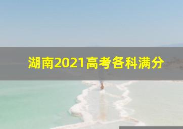 湖南2021高考各科满分