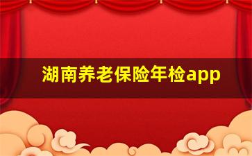 湖南养老保险年检app