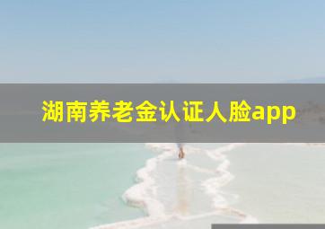 湖南养老金认证人脸app