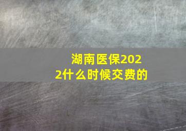 湖南医保2022什么时候交费的