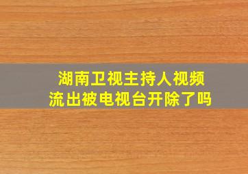 湖南卫视主持人视频流出被电视台开除了吗