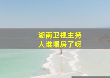 湖南卫视主持人谁塌房了呀