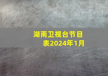 湖南卫视台节目表2024年1月