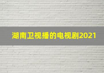 湖南卫视播的电视剧2021