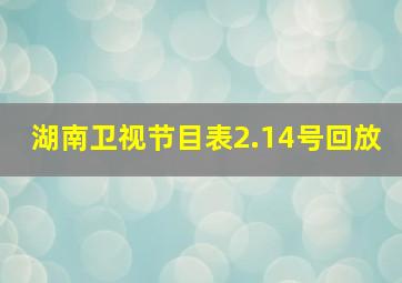 湖南卫视节目表2.14号回放