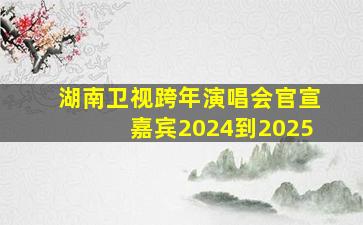 湖南卫视跨年演唱会官宣嘉宾2024到2025